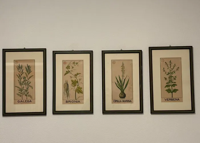 Casa Giorgina Apartamento *